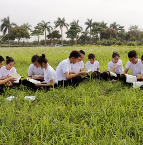 Chương trình đào tạo miễn phí